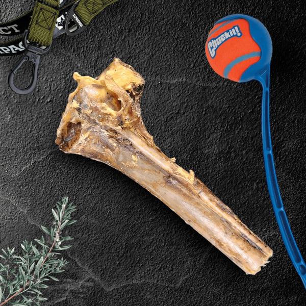 Large Ostrich Bone Chew for Dogs – Long-Lasting, Hypoallergenic Treat (11.5” x 5”)